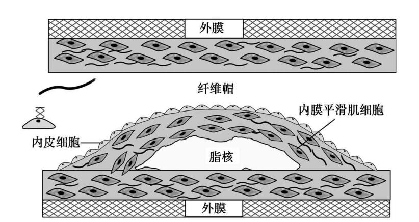 1649838236222509.png 1.png