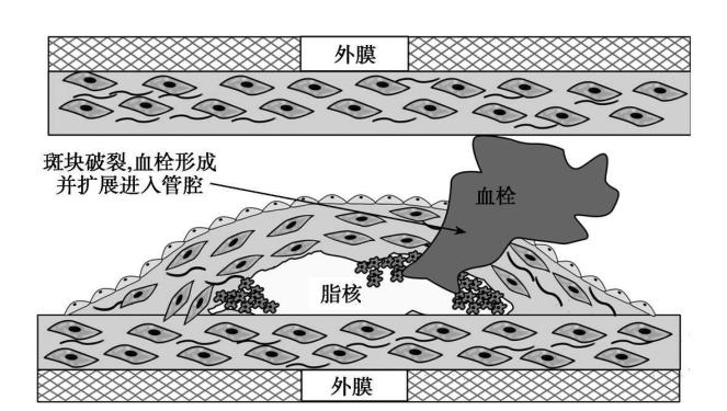 1649838270942231.png 2.png